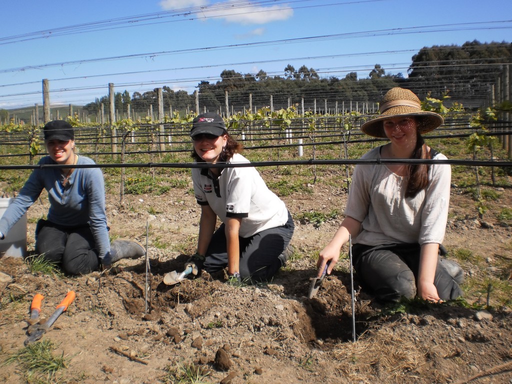 Christin, Sandra and Frederike planting